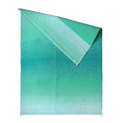 Murat Teal Green Premium Plastic Floor Mat | Reversible Indoor & Outdoor Mat